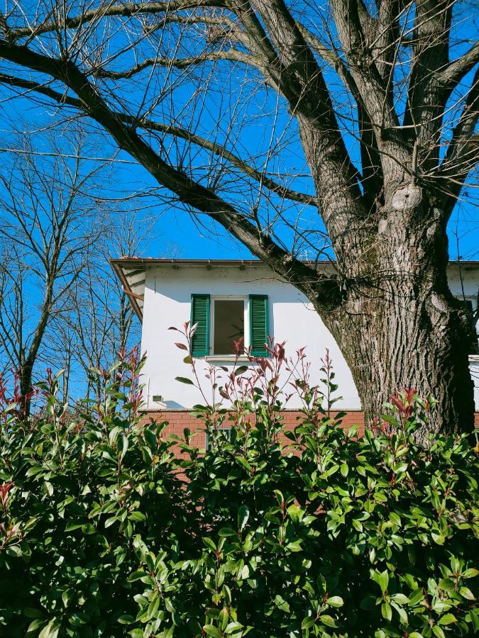 Il Tiglio B&B Dozza Exterior foto